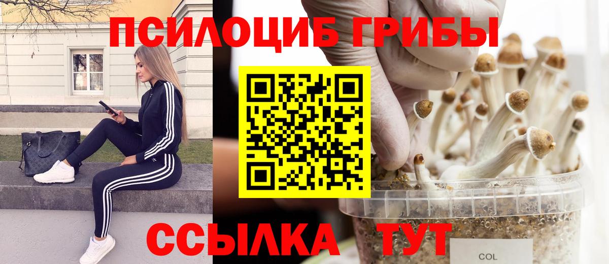 Псилоцибиновые грибы прущие грибы  Галлюциногенные грибы мицелий  Кубинка  Вход с VPN 