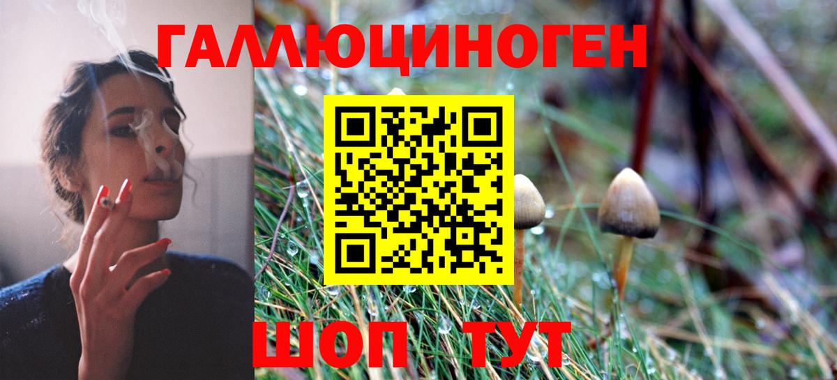 Псилоцибиновые грибы мицелий Кубинка